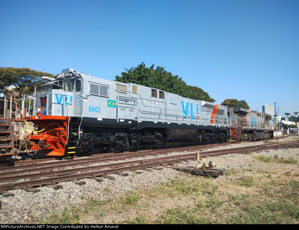 VLI 8803